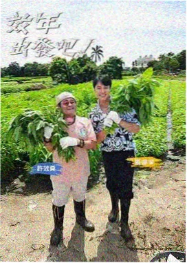 全网影视旅行纪实综艺一路向北的夏天海报